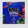 Kaws Rocks Berry Edition available for sale in stock at affordable prices buy Kaws Rocks Berry Edition in bulk at best discount prices